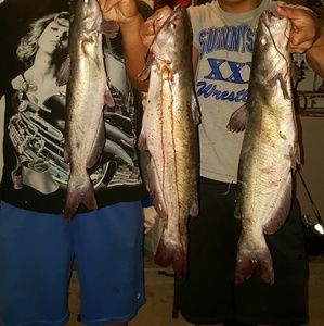 Meet your Posher, Stephen